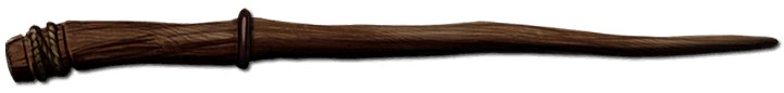 wizard staff